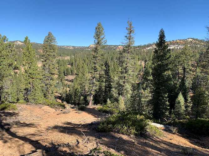 N 2750 E 1054 Mammoth Creek, UT 84735