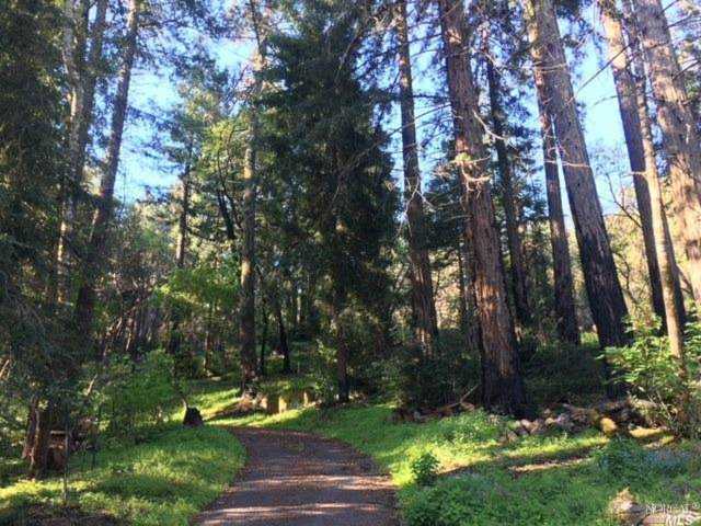3105 Mount Veeder Road Napa, CA 94558