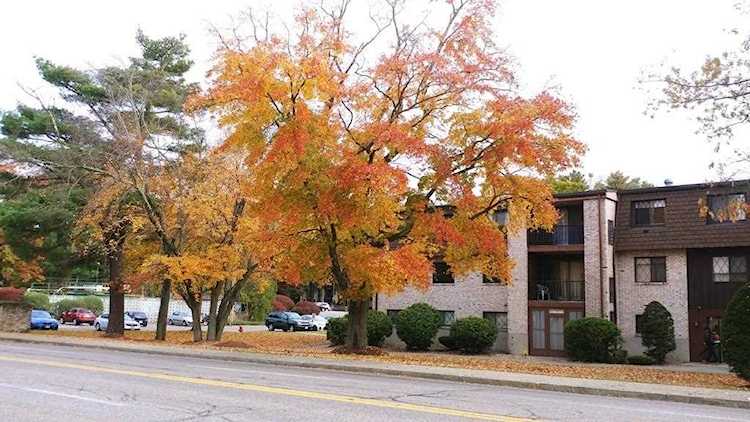 4 Greenbriar Dr #102 North Reading, MA 01864