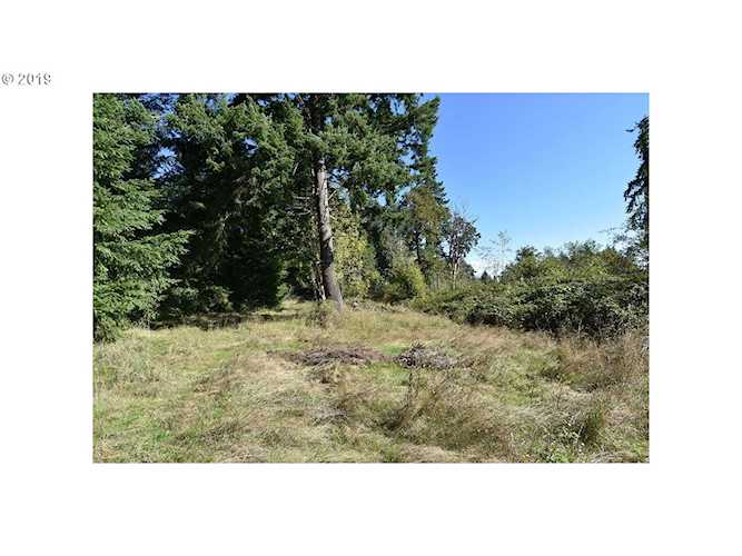 0 NW Bratton Rd #81 La Center, WA 98629
