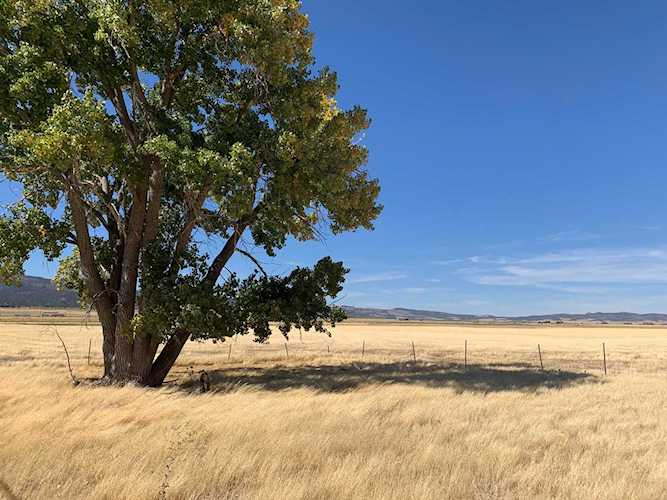78 Acres On 6400 S Kanarraville, UT 84742