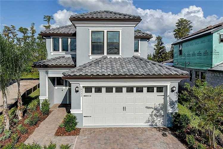 19533 Roseate Drive Lutz, FL 33558