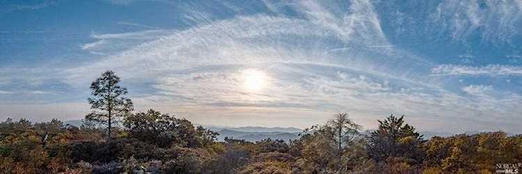 3398 E Highway 128 St. Helena, CA 94574