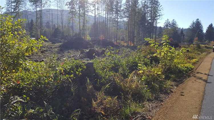 0 Upper Naselle Rd Naselle, WA 98638