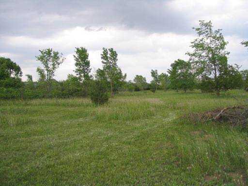 8591 Geneva Avenue S Cottage Grove, MN 55016