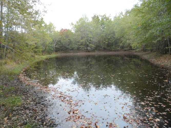 1122 Capps Rd Mc Ewen, TN 37101 | MLS 2085019 Photo 1
