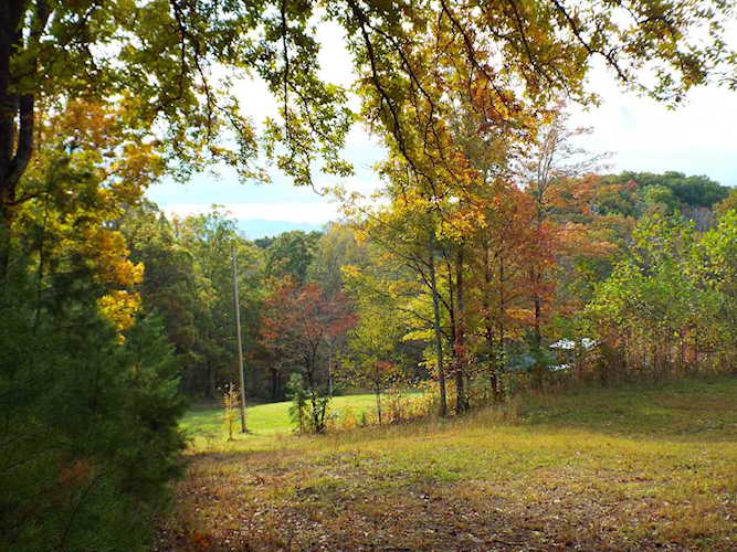 734 English Mountain Road Newport, TN 37821