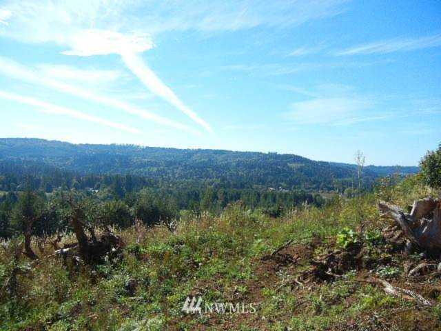 454 Hansen Rd Woodland, WA 98674 MLS# 1540824 | PNWR.com Photo 1