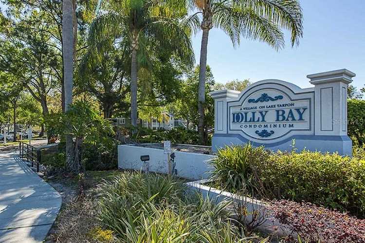 2533 Dolly Bay Drive #303 Palm Harbor, FL 34684