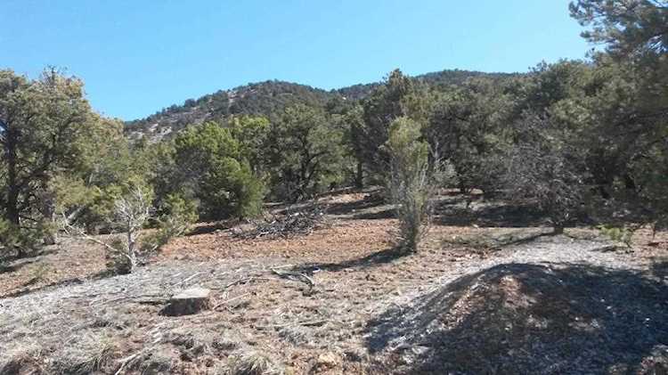 Parcel 3-C Red Canoyn RD Parowan, UT 84761