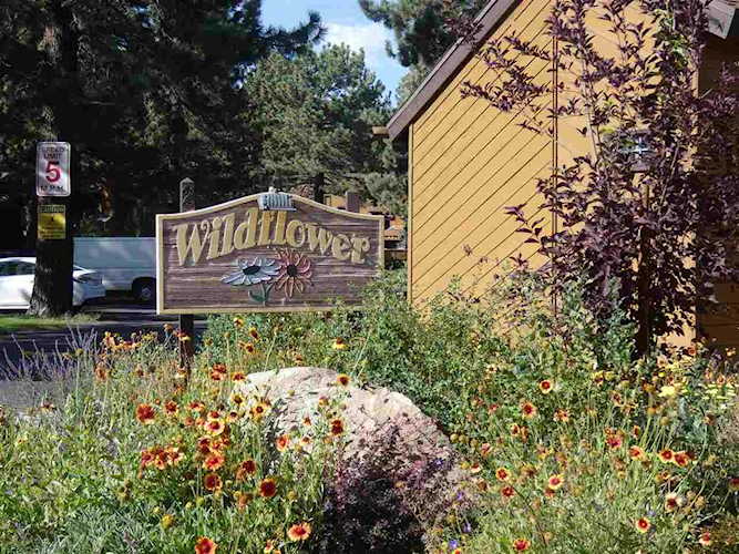 2 Arrowhead Drive #33 Wildflower #33 Mammoth Lakes, CA 93546 | MLS 190629 Photo 1