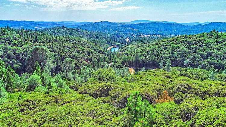 1291 Manzanita Drive Murphys, CA 95247 | MLS 52208701 Photo 1