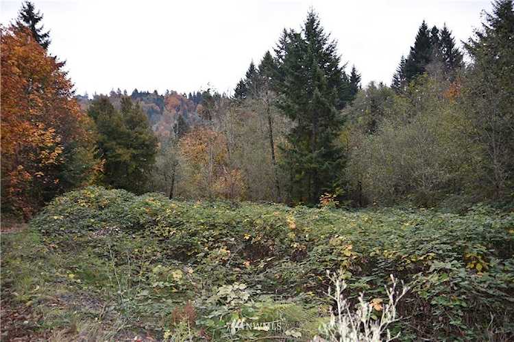 0 Fairwood Rd Woodland, WA 98674 MLS# 1538823 | PNWR.com Photo 1