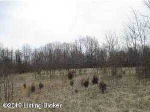 2472 Mount Pleasant Rd Bedford, KY 40006 | MLS 1538411 Photo 1