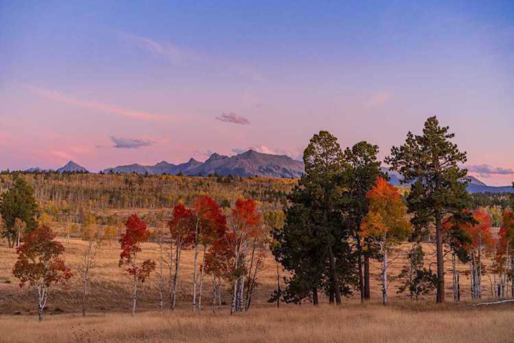 TBD Brown Ranch Rd Placerville, COLORADO 81430