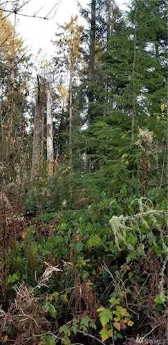 0 282 nd Lane Ocean Park, WA 98640 | MLS ® 1543595 Photo 1
