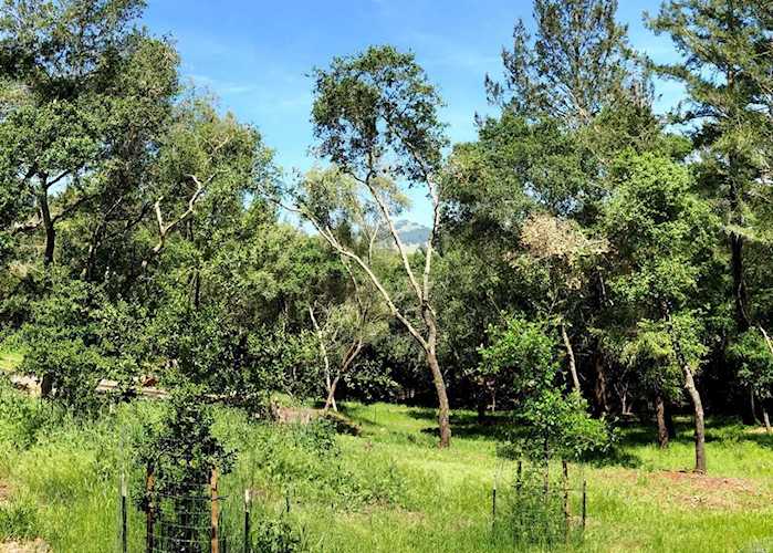 792 Los Olivos Road Santa Rosa, CA 95404 | MLS 21908300 Photo 1
