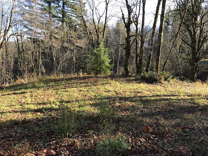 Matthews Rd Washougal, WA 98671