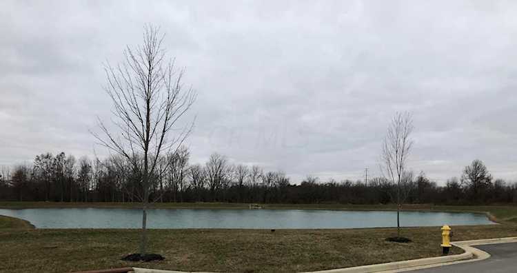 5815 Piatt Road Lewis Center, OH 43035 | MLS 219044124 Photo 1