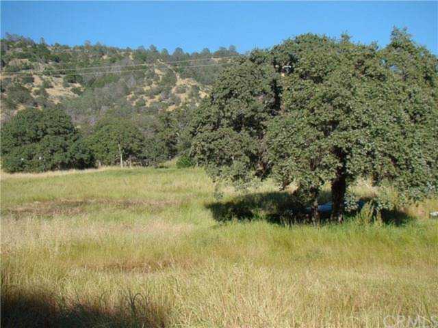 3096 State Highway 140 Catheys Valley, CA 95306 | MLS 52192594 Photo 1