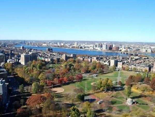 2 Avery St #29D Boston, MA 02111
