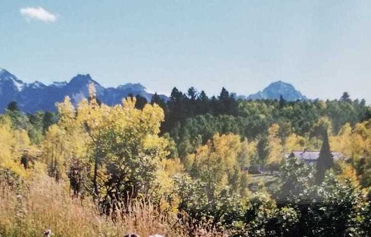 124 Alpine Ln #426 Ridgway, COLORADO 81432