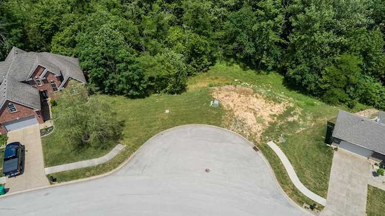 1226 Ava Pearls Way Louisville, KY 40245