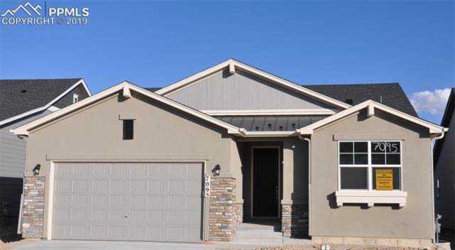 7095 Fauna Glen Drive Colorado Springs CO 80927 - MLS 3538468 - Ashford Photo 1