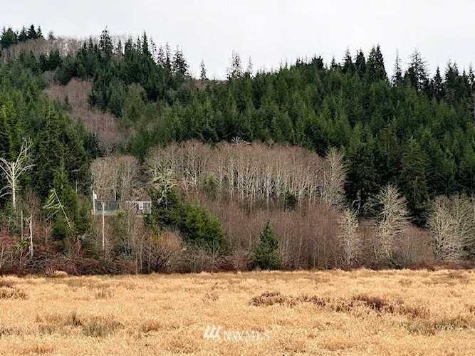 224 E Deep River Rd Naselle, WA 98638 MLS# 1549690 | PNWR.com Photo 1
