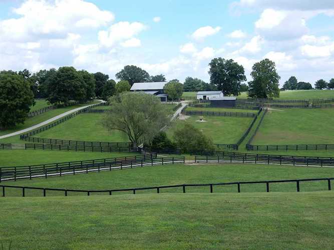 1225 Rose Lane Versailles, KY 40383
