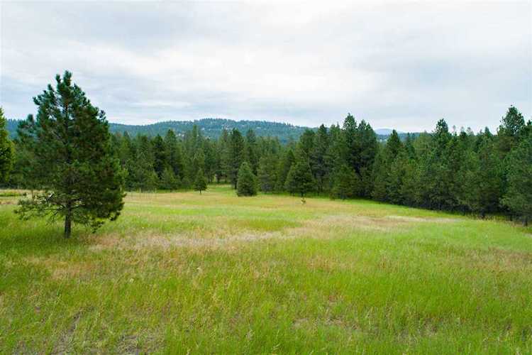 32XXX N Milan Rd Chattaroy, WA 99003 | MLS 201920591 Photo 1