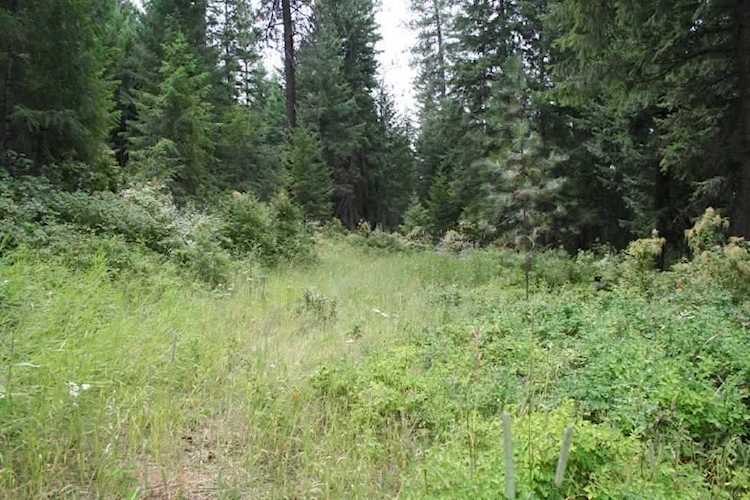 XXXX Orchard Bluff Rd Chattaroy, WA 99003 | MLS 202010082 Photo 1
