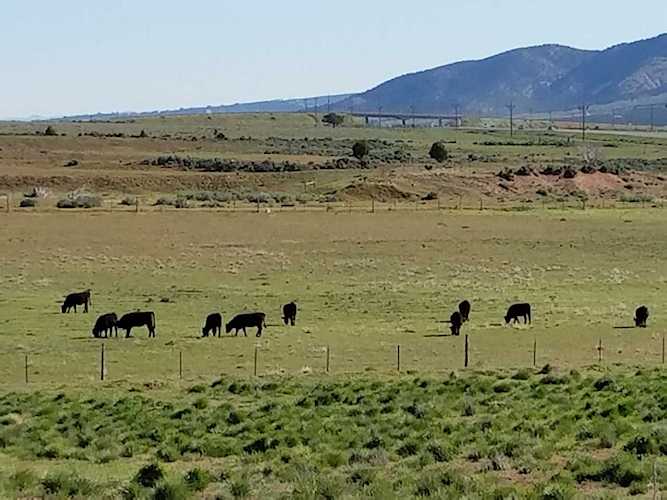11.39 Ac In Kanarraville Kanarraville, UT 84742