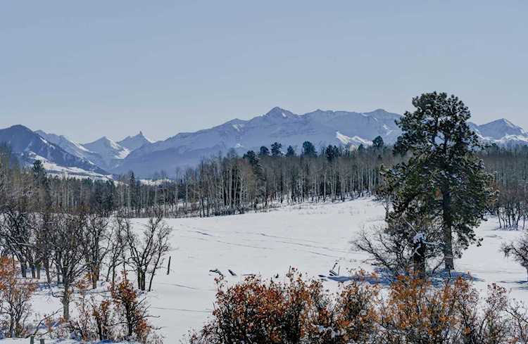 TBD Eagle's Nest Ln #1F Placerville, COLORADO 81430