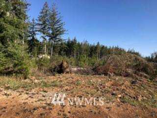 301 Coma Rd Vader, WA 98593