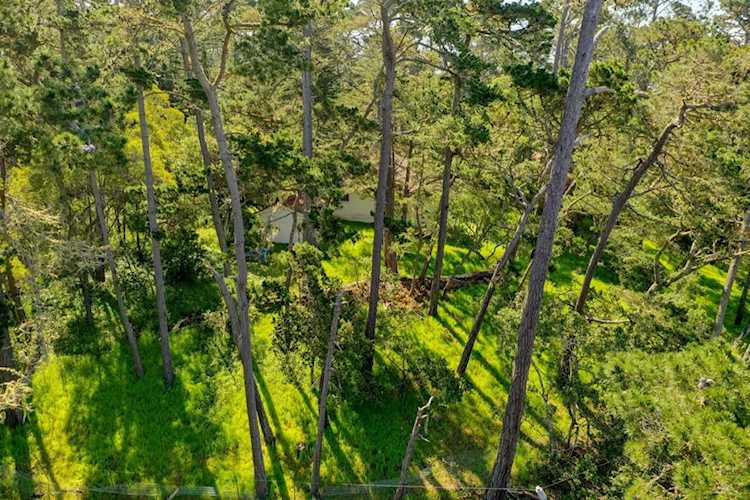 24744 Dolores Carmel, CA 93923