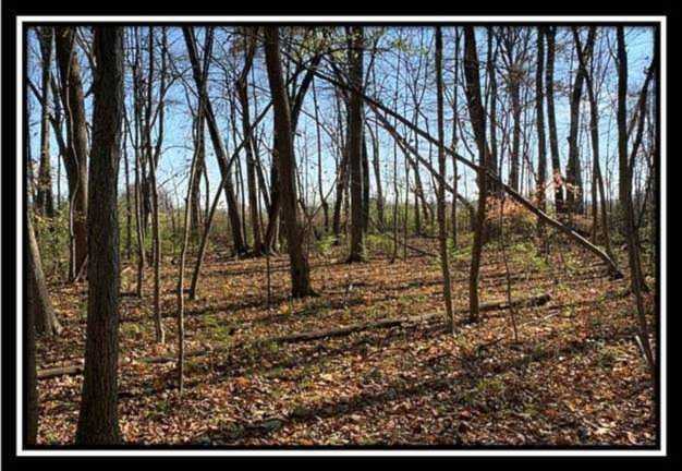 0 Hayden Run Road Hilliard, OH 43026