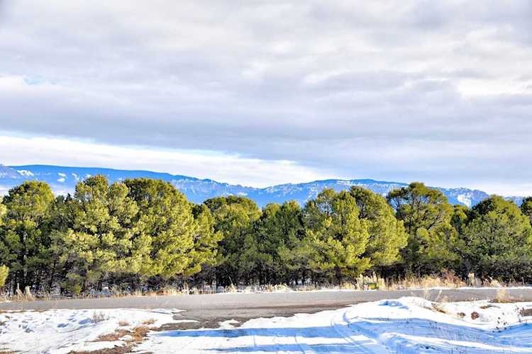 TBD Ponderosa Dr #13 Ridgway, COLORADO 81432