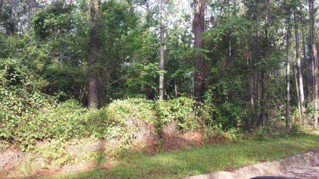 0 Crepe Myrtle Street Jesup, GA 31545 | MLS 126728 Photo 1