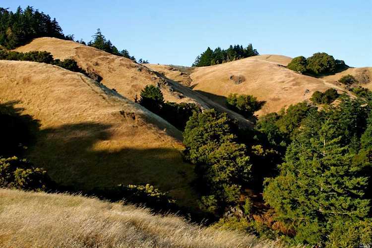 1 Meadow View Lane San Geronimo, CA 94963