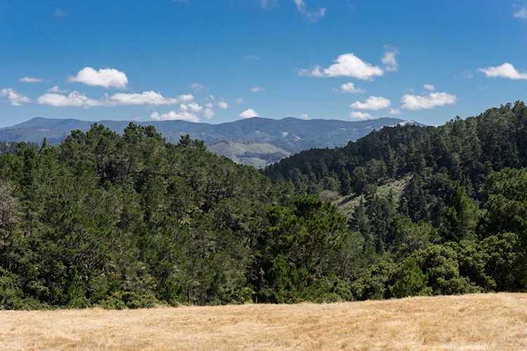 7925 Cinquenta Carmel, CA 93923