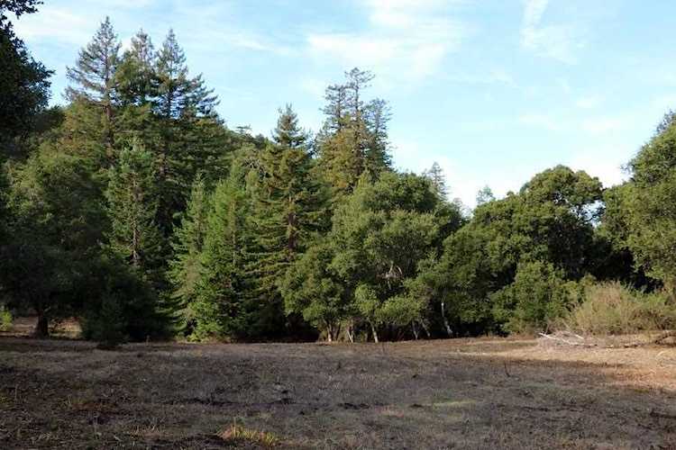 31 Potrero Trail Carmel, CA 93923