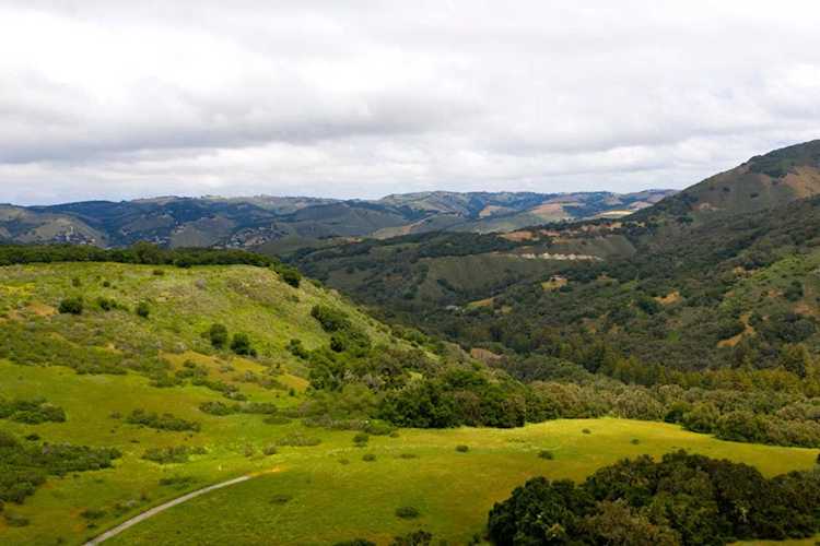 15 Mesa Trail Carmel, CA 93923
