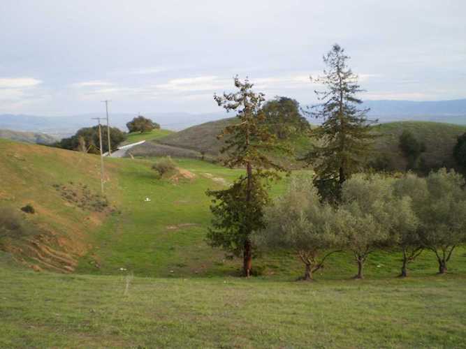 5167 Canada Road Gilroy, CA 95020