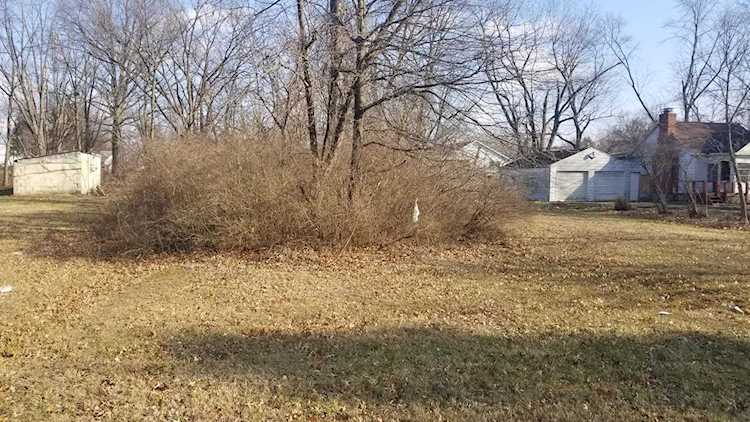 0 Manor Drive Columbus, OH 43232