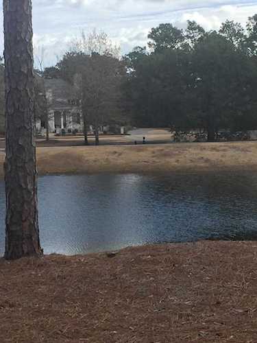1028 Striking Island Drive Wilmington, NC 28403
