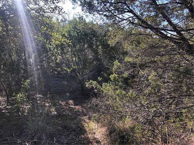 1010 Daviot Dr Spicewood, TX 78669
