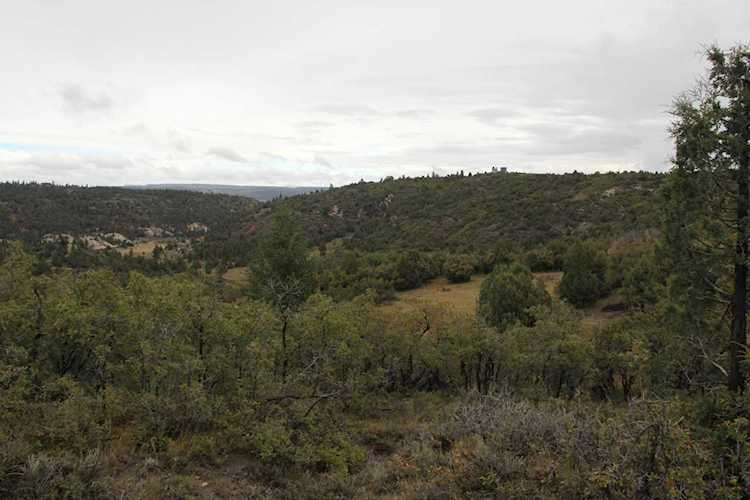 1980 W Manitoban Trl Duck Creek Village, UT 84762