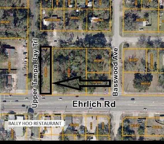 0 Ehrlich Rd Road Tampa, FL 33625