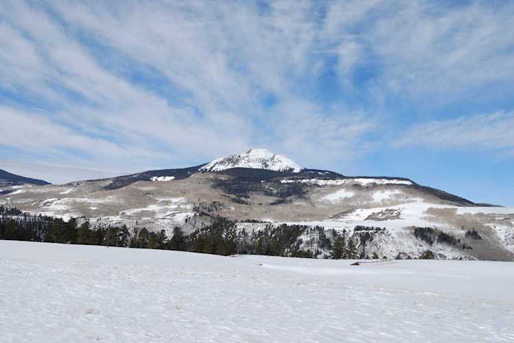 #91 W Anderson Rd #91 Placerville, COLORADO 81430